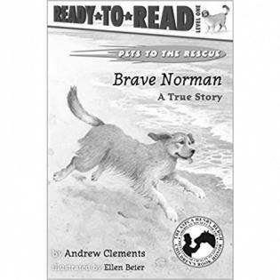 Brave dog hot sale stories